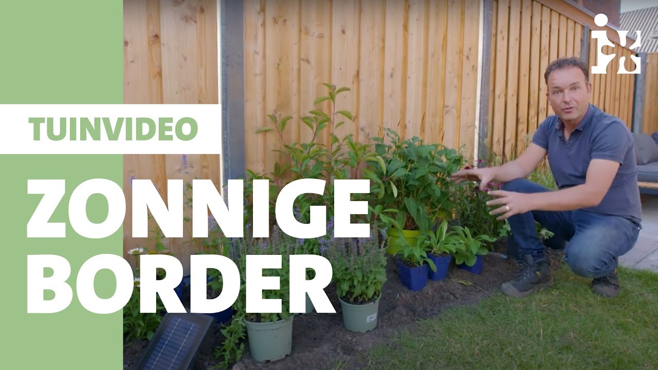 Intratuin - Een zonnige border aanleggen