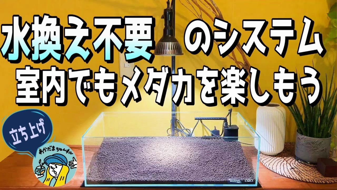 【アクアリウム】水換え不要のシステムで室内でメダカを飼おう（60㎝水槽で水草とめだかを冬でも楽しめる水槽を立ち上げていく）