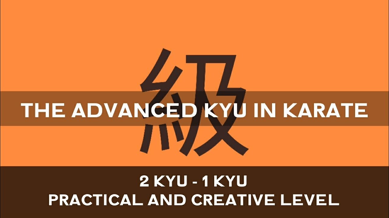 THE BROWN BELT  |  ADVANCED 2 KYU - 1 KYU  |  KYOKUSHIN VLOG-28