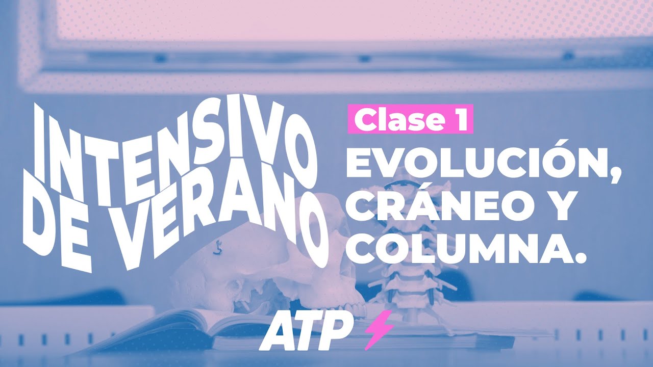 Intensivo CyD | Clase 1: Evolución, cráneo y columna