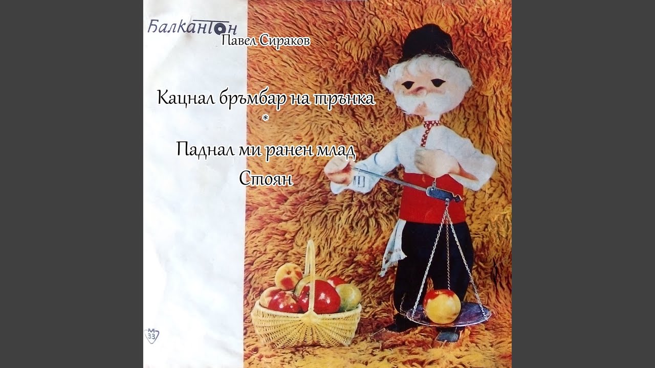 Кацнал бръмбар на трънка