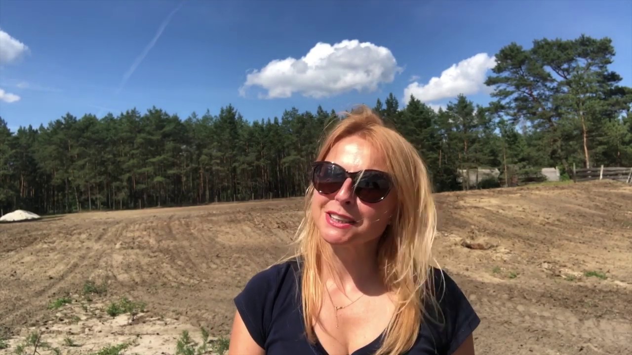 Co warto wiedzieć o Róży Pomarszczonej (Rosa Rugosa). #1 RÓŻANE HISTORIE