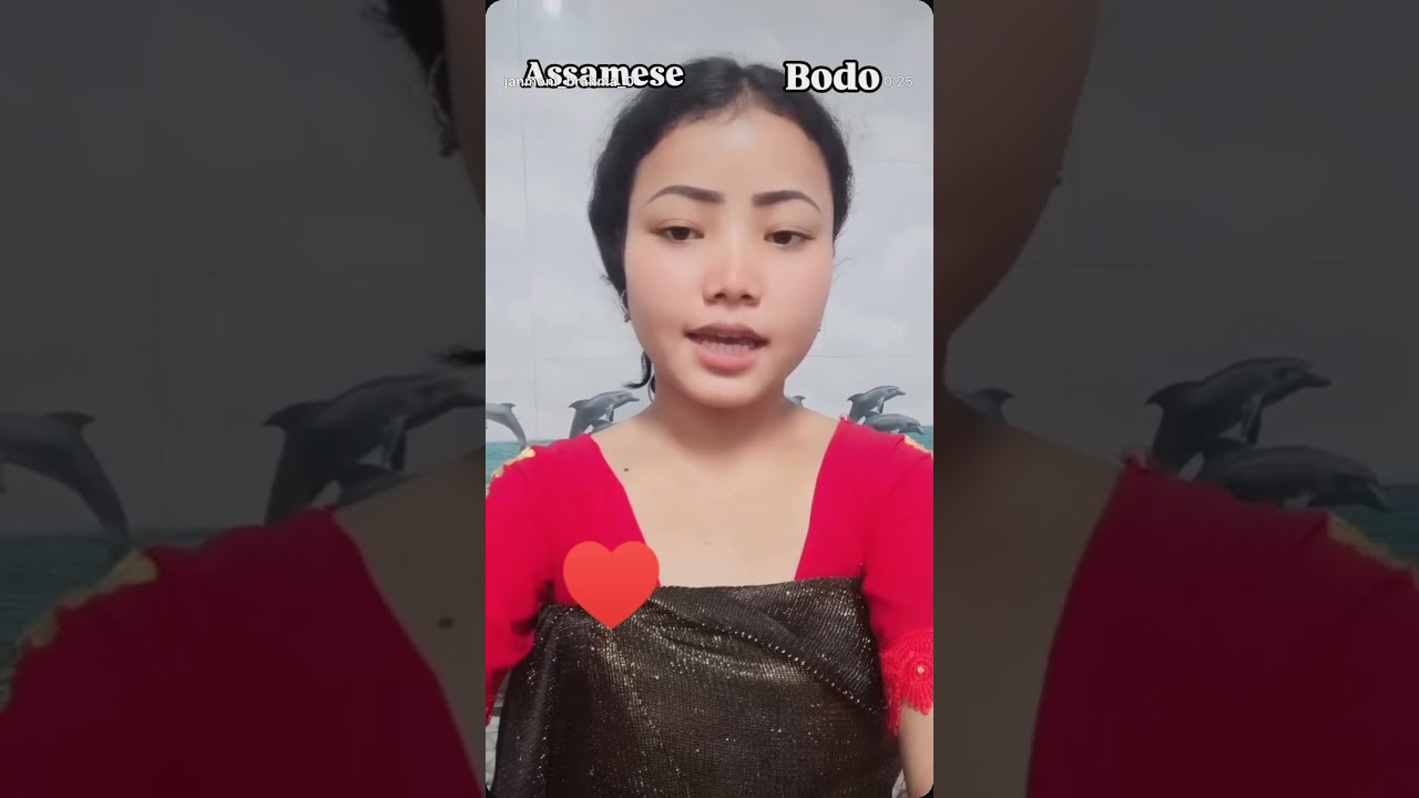Assamese pora bodo translation &hearts;️