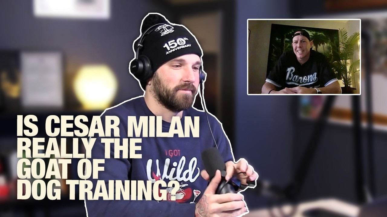 DTDT 227 - Is Cesar Milan Really The GOAT Of Dog Training!? Ft @Dogwalkrehab