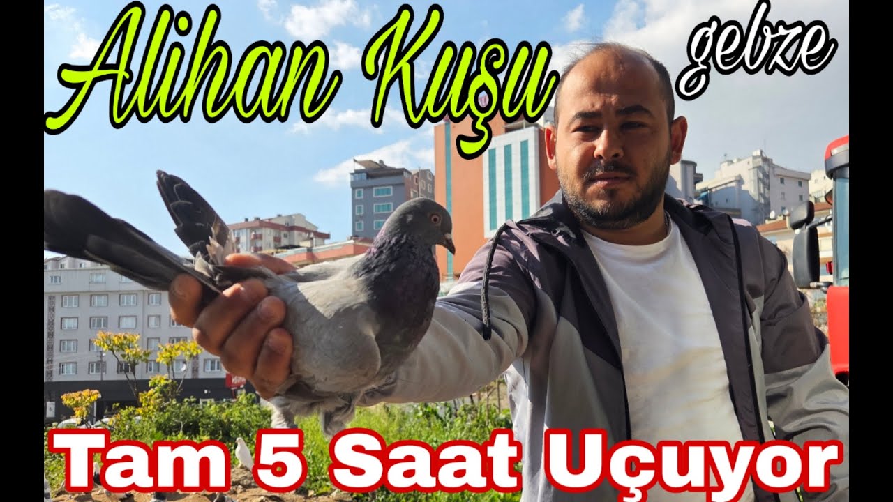 Alihanın Kuşu Tam 5 Saat Uçuyor. Hakem Bayıltan Oyun Kuşları. Gebze.