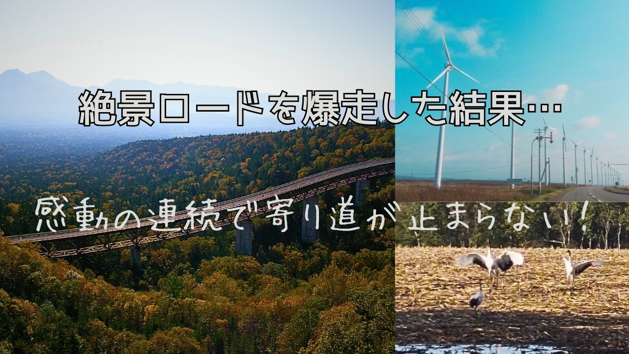 絶景のゴールデンルートを駆け抜けるとそこはまるで異世界だったー秋の北海道を旅する【最終回】