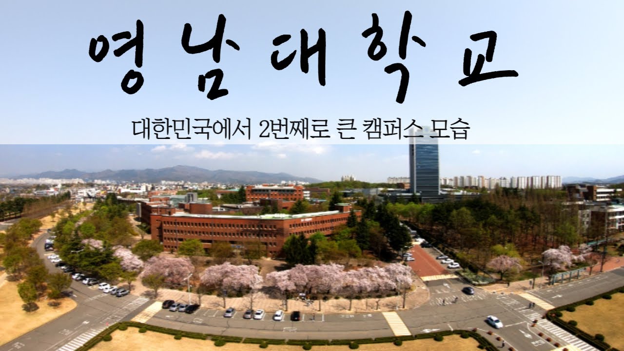 영남대생도 모르는 영남대학교 진짜 모습