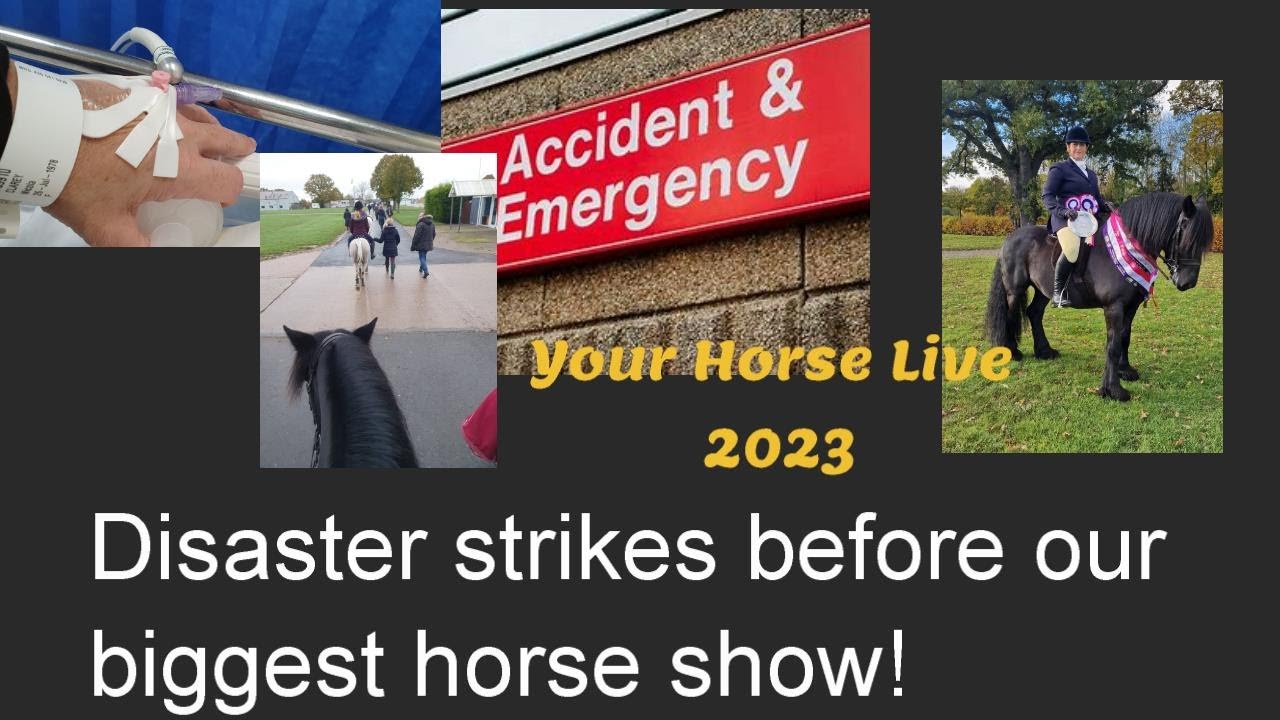 Your Horse Live, Search for a Star 2023