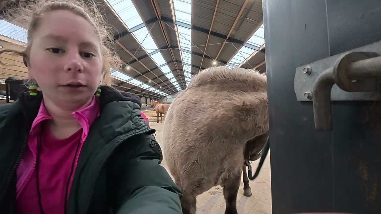 ik deed mee aan een springwedstrijd met kamira pony vlog!