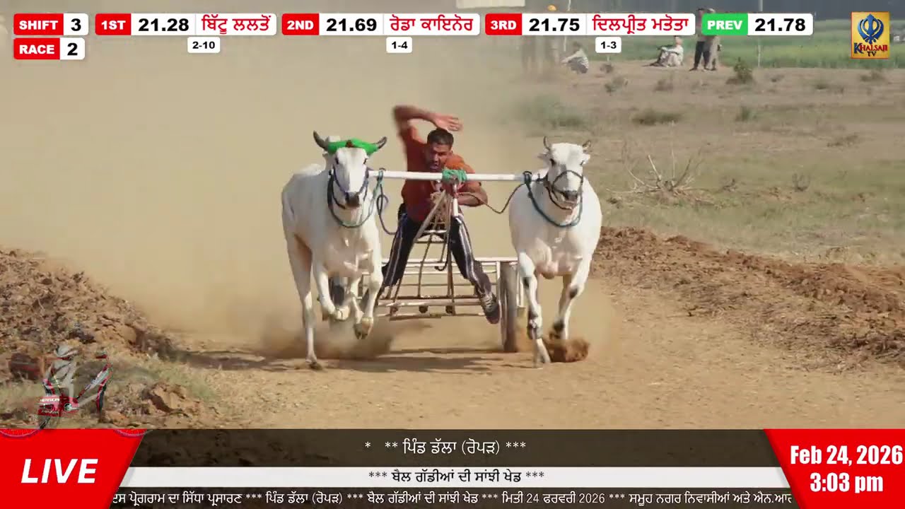 ਡੱਲੇ ਖੇਡ ਮੇਲੇ ਦੀ ਜੇਤੂ ਜੋੜੀ | Dalla | Ropar | ਬੈਲ ਗੱਡੀਆਂ ਦੀ ਸਾਂਝੀ ਖੇਡ | Ox Races | 24 Feb 2026