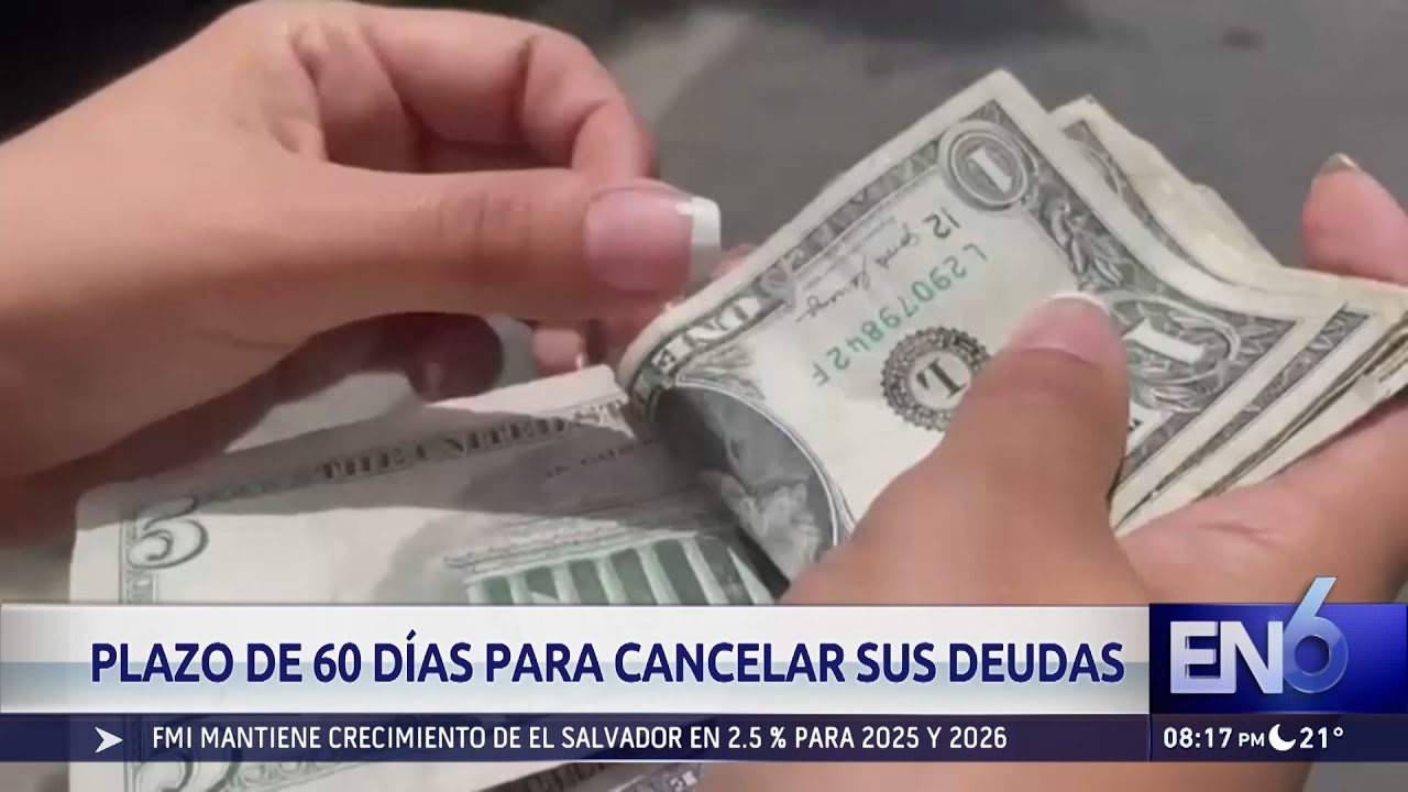 LEY DE AMNISTÍA FISCAL 2025