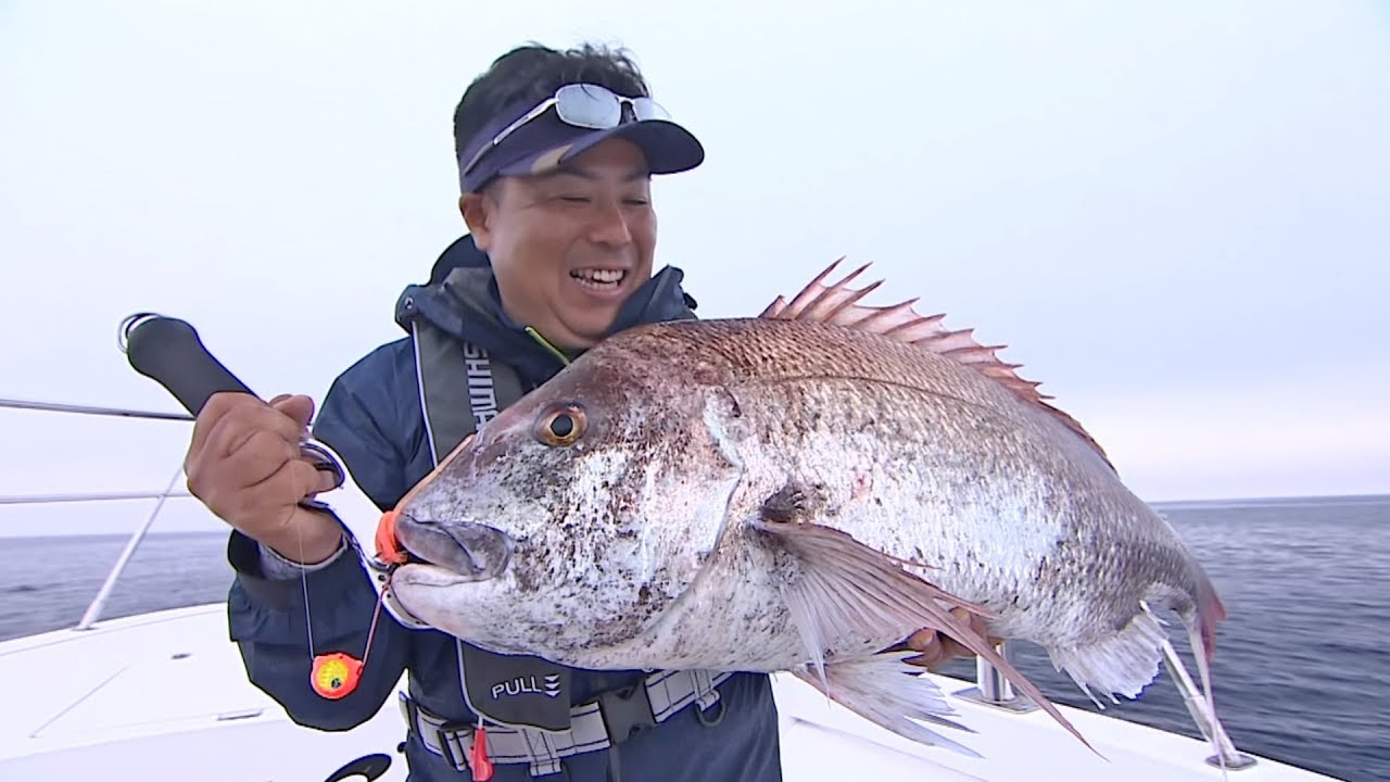 【釣り百景】#243 チャンス広がる憧れの大物　鯛ラバの魅力