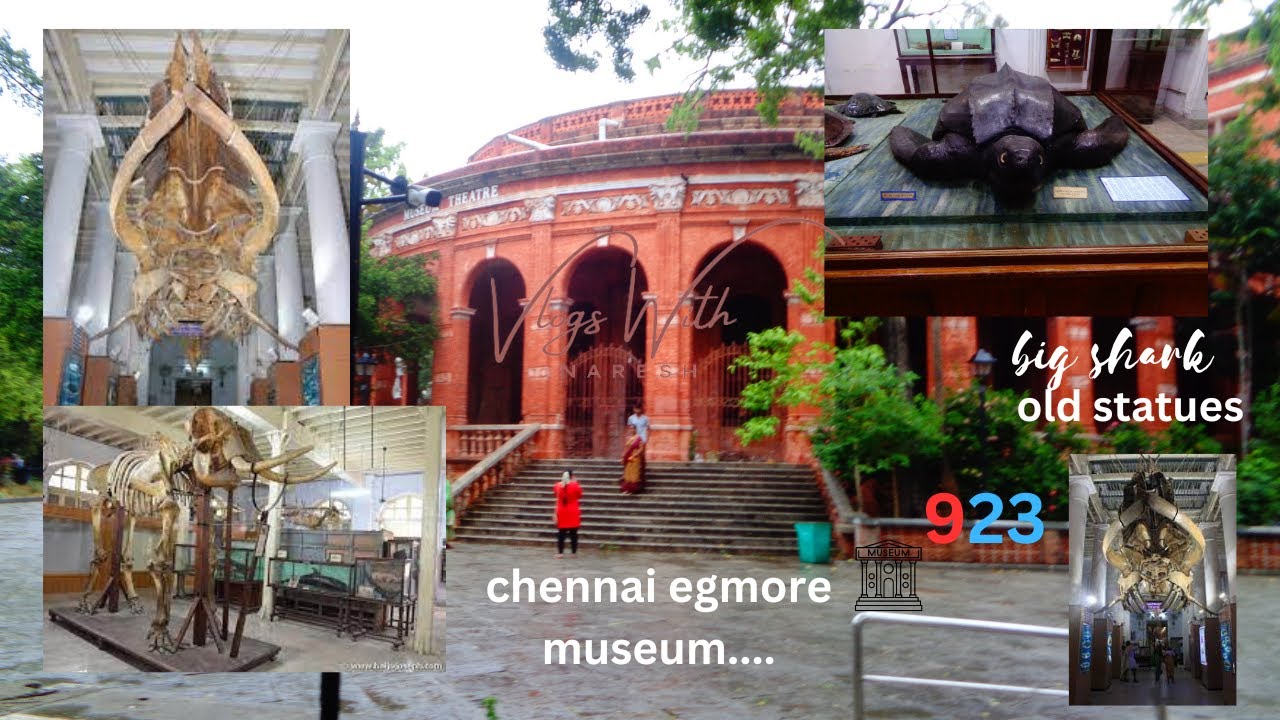 big shark in museum..😱The growing popularity of Chennai Egmore Museum, statues, animals,