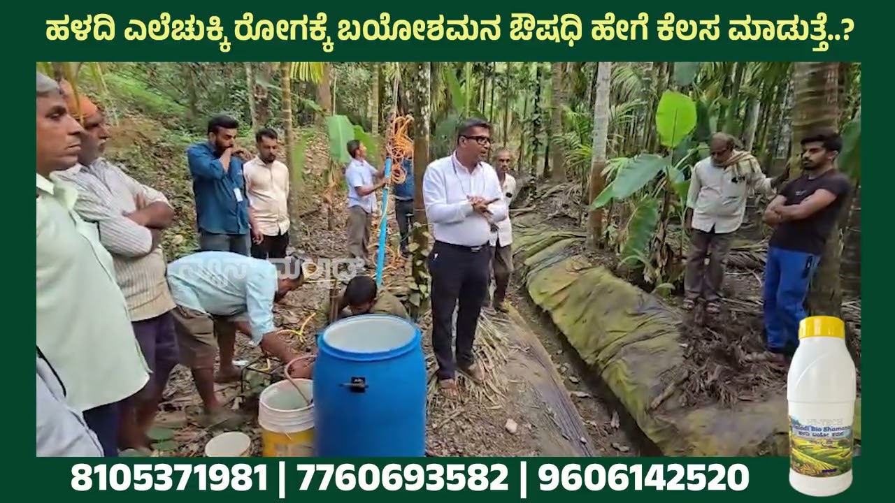 8105371981 | 7760693582 | 9606142520 | ಎಲೆಚುಕ್ಕಿ ರೋಗಕ್ಕೆ ಬಯೋಶಮನ ಔಷಧಿ ಹೇಗೆ ಕೆಲಸ ಮಾಡುತ್ತೆ| NEWS MALNAD