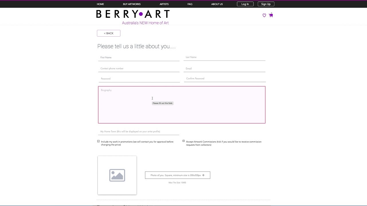 BerryArt Artist Account Creation
