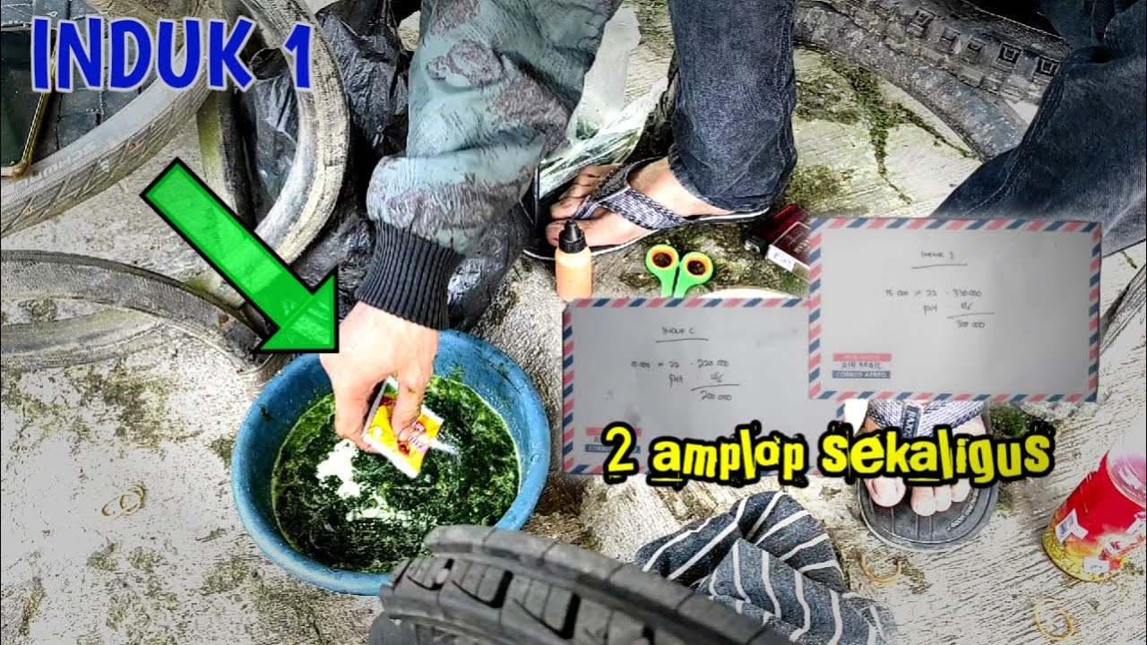 RACIKAN UMPAN GALATAMA LELE MEDIA TELUR SAPU SAPU