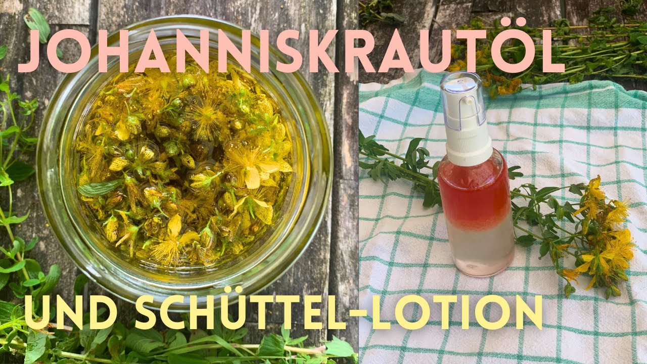 Johanniskraut erkennen und sammeln | Rot&ouml;l  & Johanniskraut-Lotion herstellen (Teil 1)