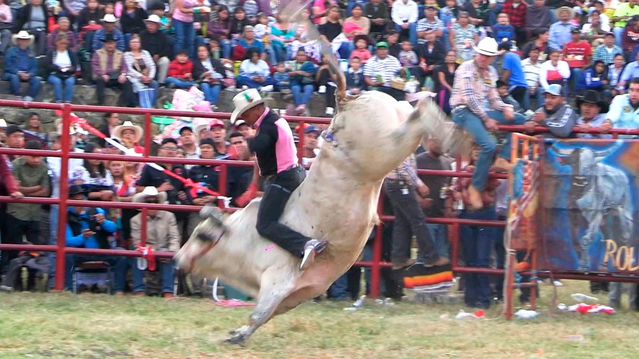TOROS DE RANCHO BARRIGA!! JARIPEO EN SAN ANDRES TZIRONDARO MICHOACAN 2025