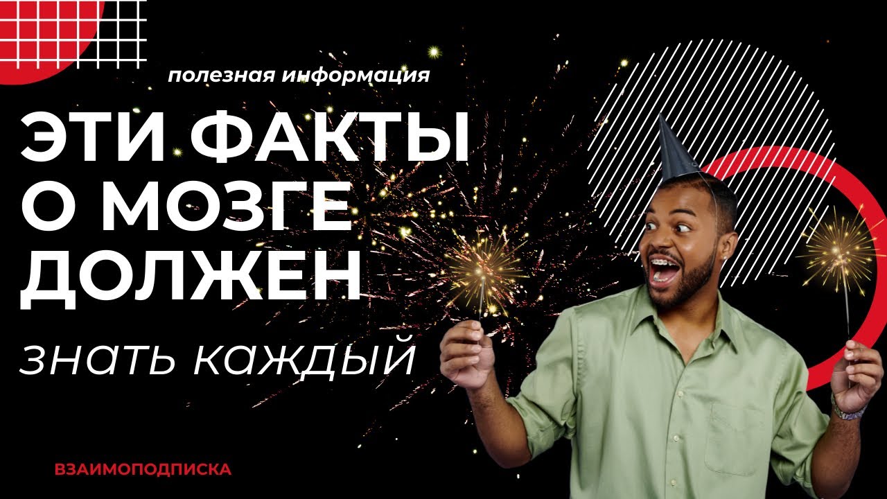 Эти факты о мозге должен знать каждый.