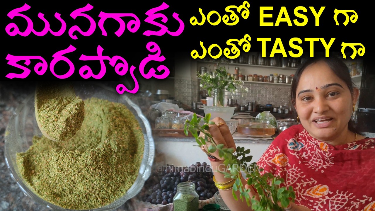 Moringa powder making at home... Munaga aaku kaarappodi