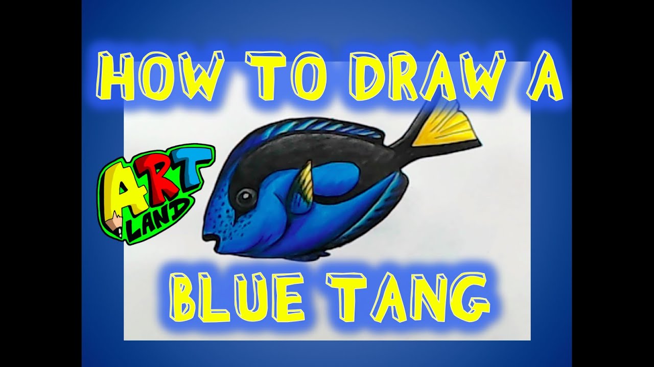 How to Draw a BLUE TANG