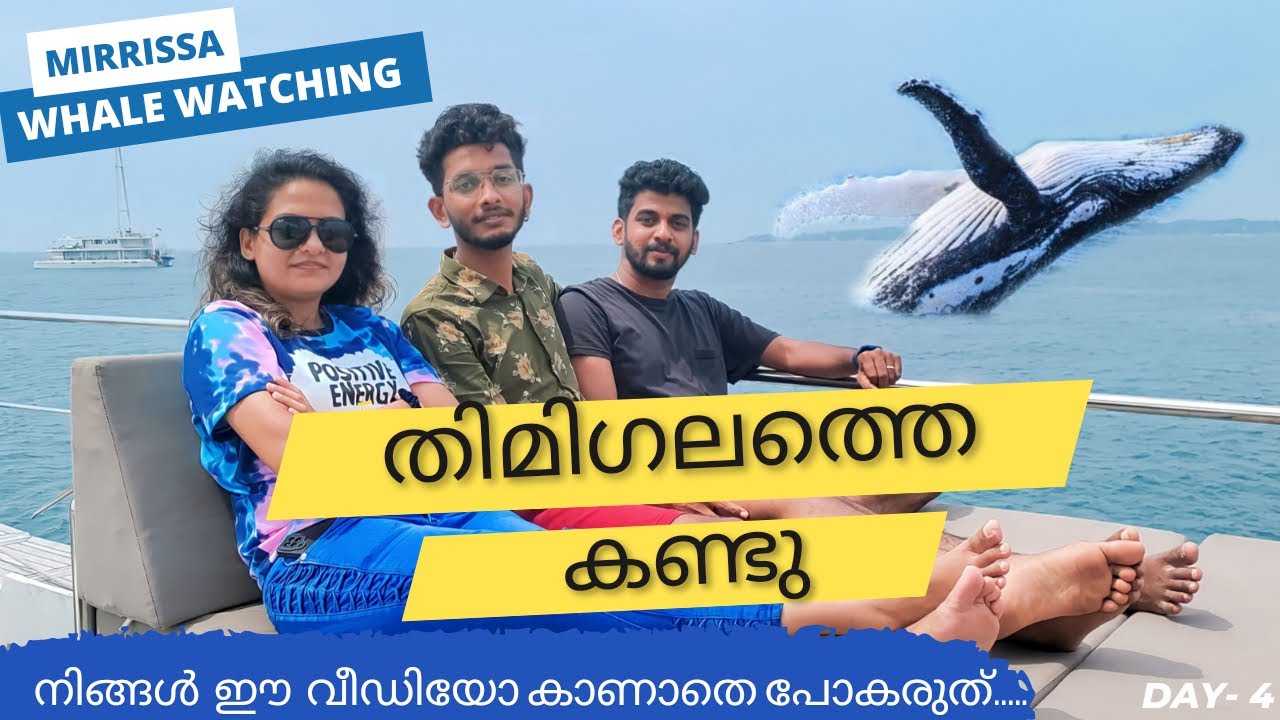 ആഴക്കടലിൽ തിമിംഗലത്തെ കാണാൻ പോയപ്പോൾ. Whale Watching at SriLanka. #whalewatching #malayaliyathrakal