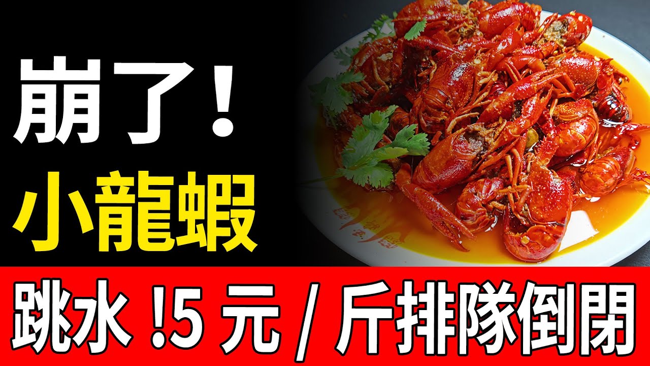 小龍蝦市場遭遇寒冬：均價腰斬僅售5元斤，大量店鋪倒閉，資本撤場。從5000億規模的夜宵霸主到如今行業崩盤，蝦農虧損嚴重，頭部品牌面臨嚴峻生存考驗，行業淘汰賽正式開啟。#小龍蝦 #價格腰斬 #餐飲寒冬