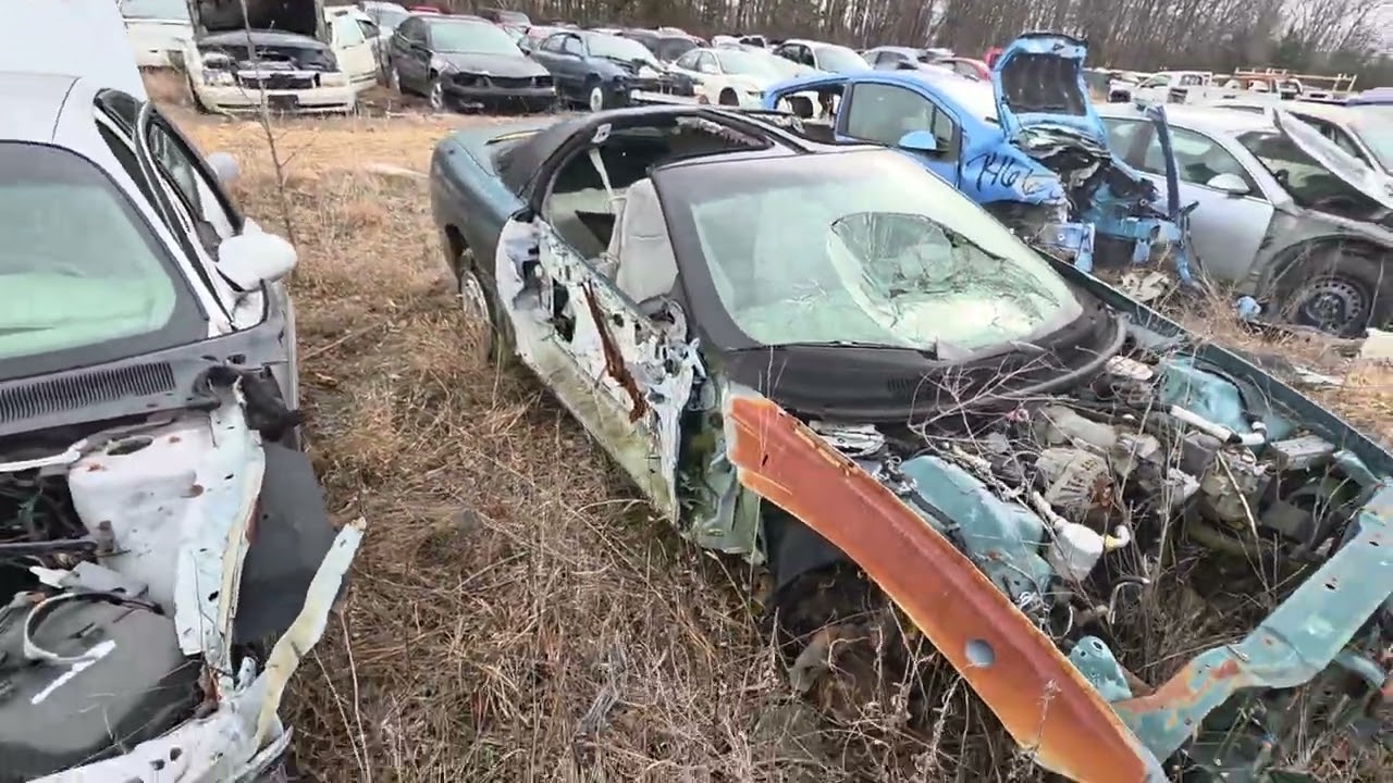 This junkyard is loaded with mustangs, camaros, and s10s.... oh my!