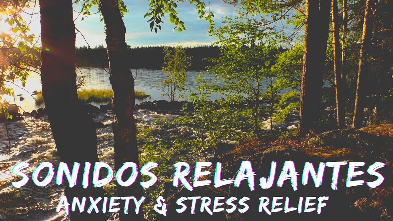 Musica y Sonidos Relajantes para Aliviar el Estrés 🎧 Ansiedad | ASMR 💤
