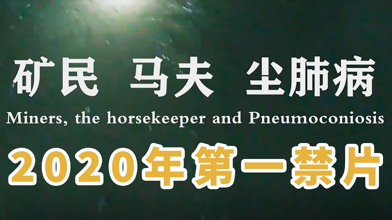 2020年第一禁片，要钱还是要命？请给中国纪录片留下一束火苗吧。《矿民、马夫、尘肺病》【朽木】