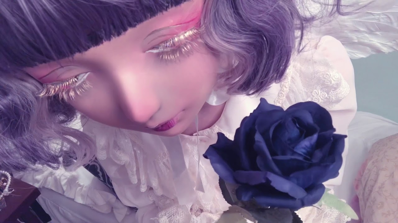💤眠りぎわにみる動画