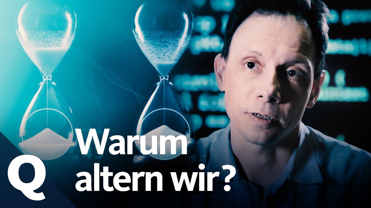 Forscher beweist: Menschen altern unterschiedlich schnell | Quarks