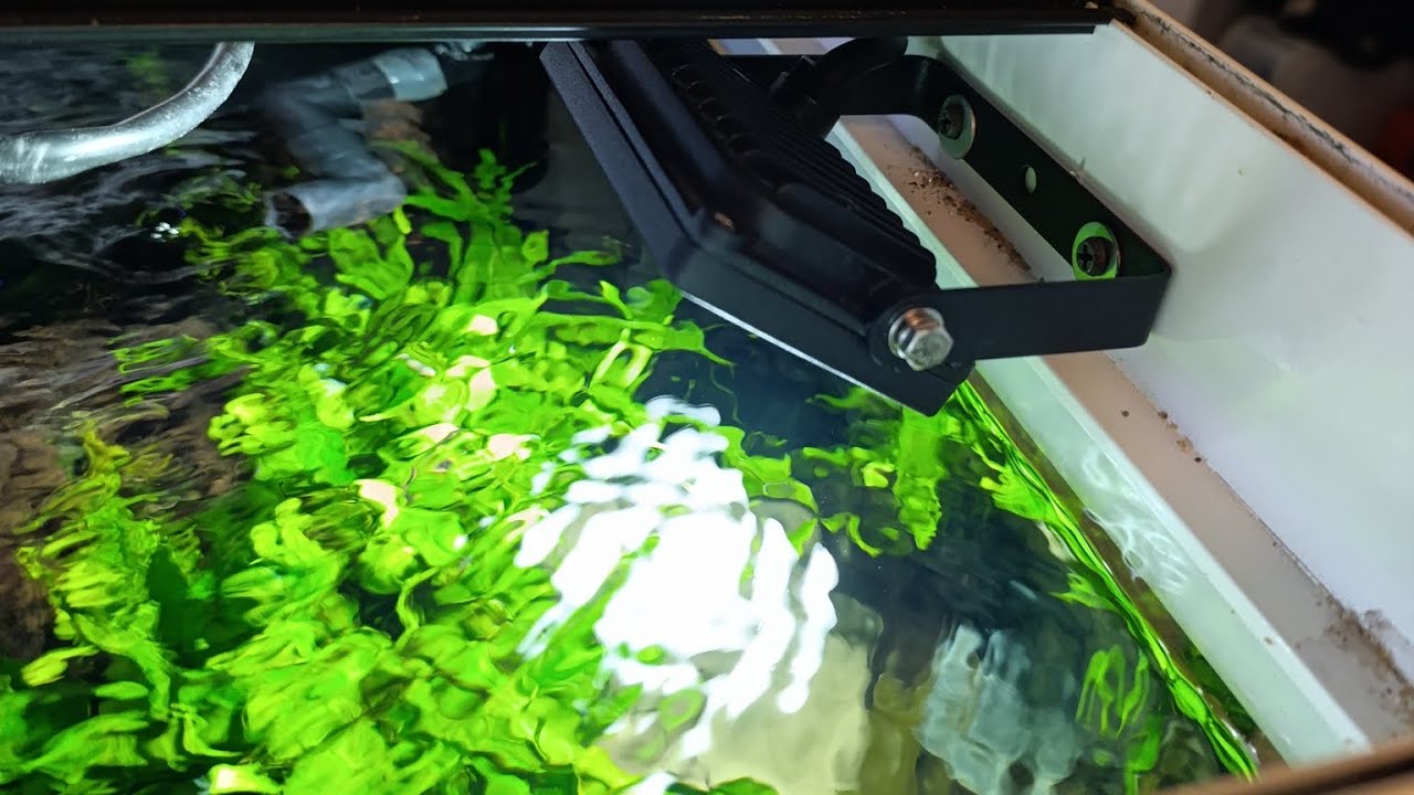Akwarium 240L - Nowe oświetlenie 2xNaswietlacz led+belka led RBW 30W.