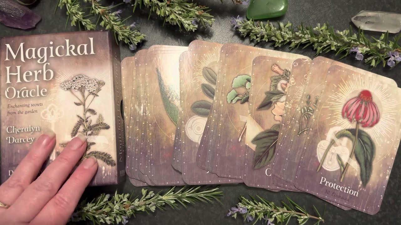 Magickal Herb oracle by Cheralyn Darcey review, flip through #oraclecards #flipthrough