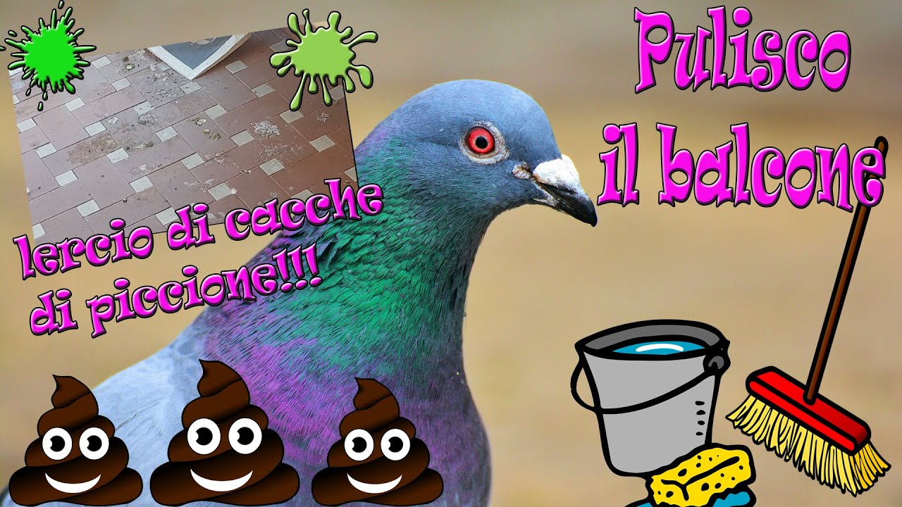 Pulisco a fondo il balcone LERCIO di cacche di piccione!!!! VLOG PULIZIE!