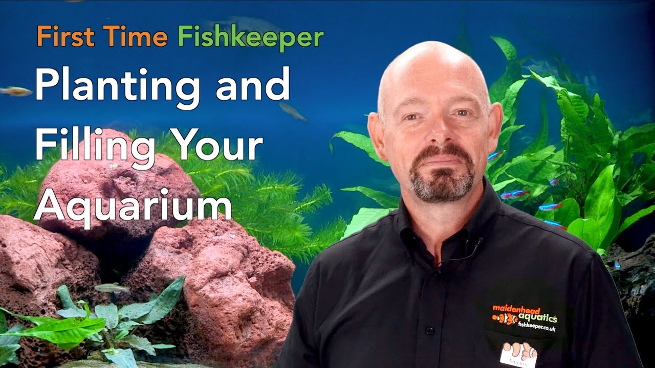 First Time Fishkeeper Episode 2: Planting and Filling Your Aquarium