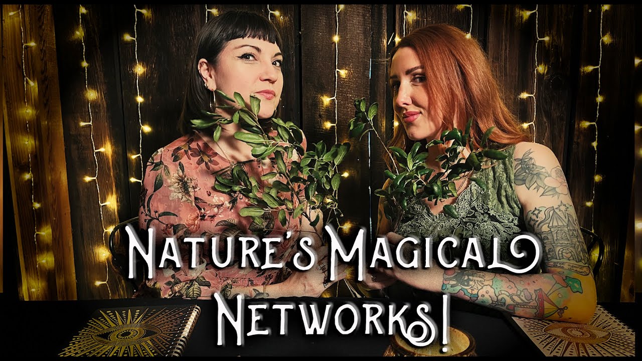 Nature's Magical Networks!
