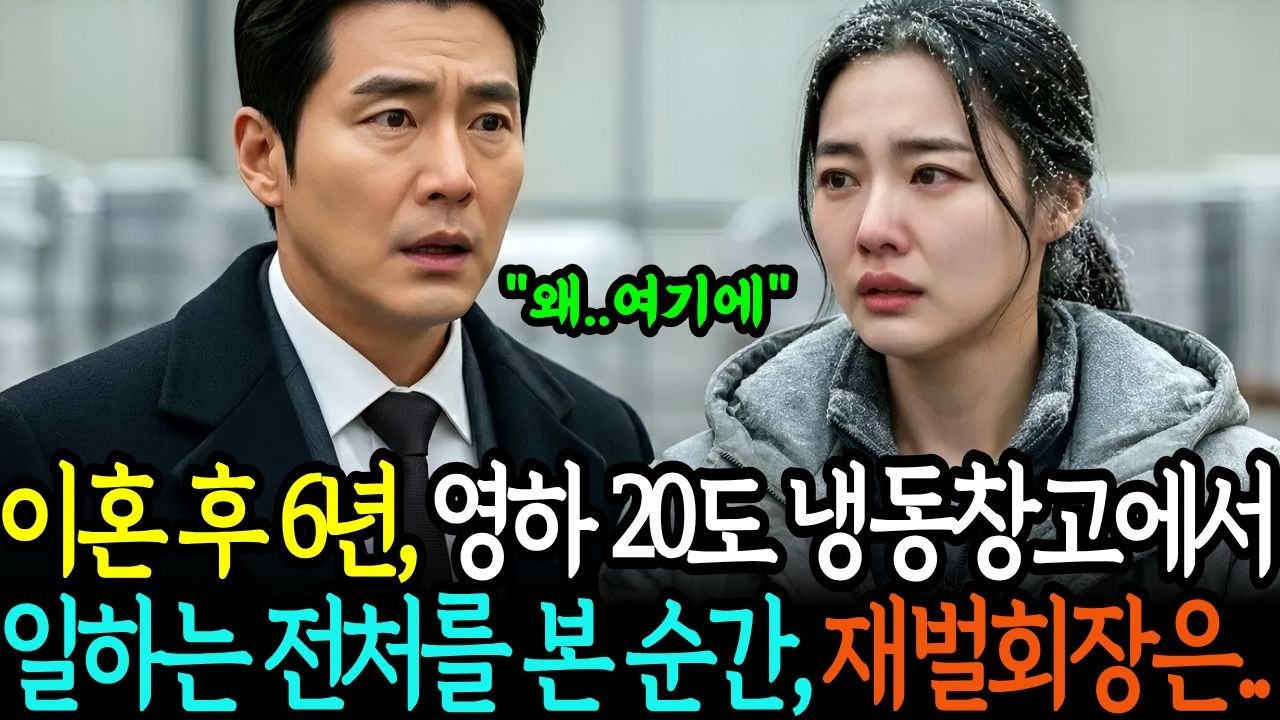 이혼 후 6년, 영하20도 냉동창고에서 일하는 전처, 재벌회장 남편은 충격적인 진실에 무릎 꿇고 오열하는데.. ㅣ노후사연ㅣ오디오북 ㅣ감동사연