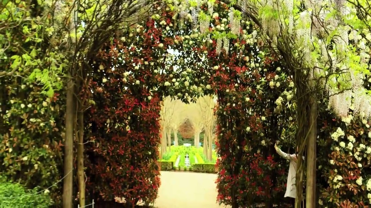 alowyn in melboune in this garden