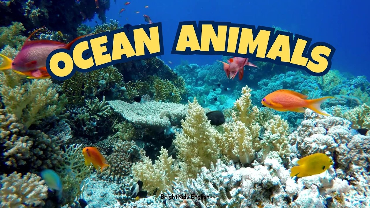 Ocean Animals for Kids | Learn Sea Animals Names | English Vocabulary for Children