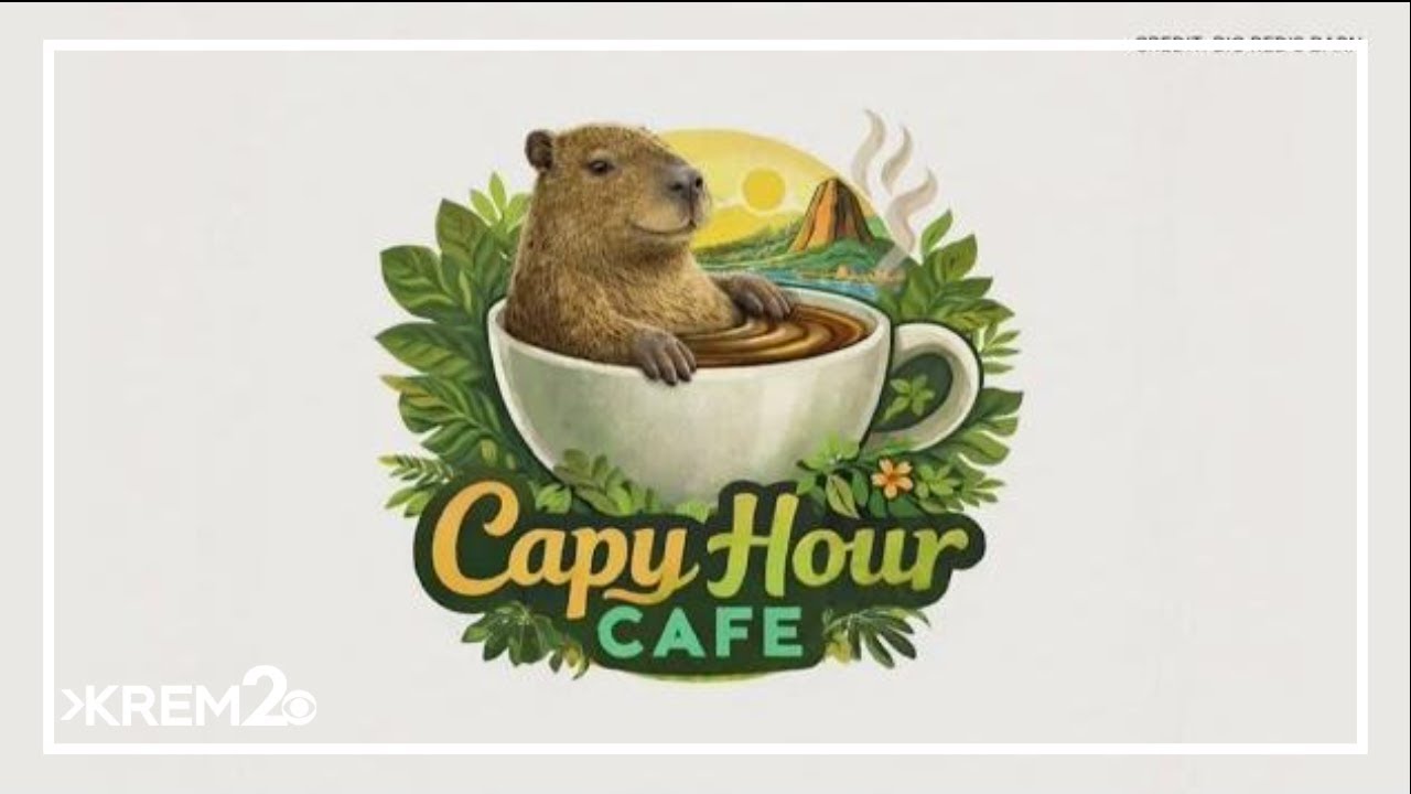 Have coffee with capybaras in Coeur d'Alene!