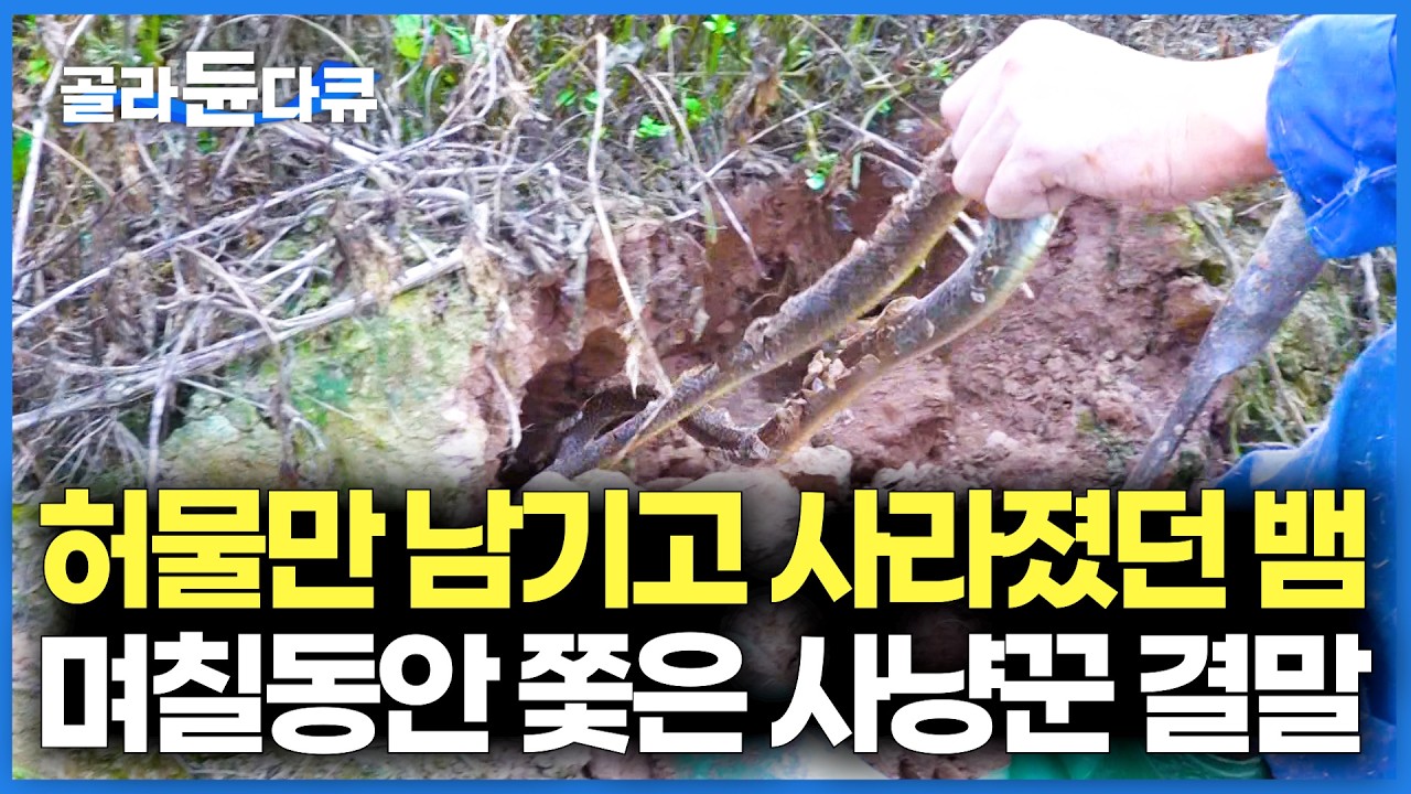 제대로 잘못 걸렸다. 거대한 허물 숨기고 사라진 거대 뱀? 베테랑 사냥꾼이 집요하게 끝까지 쫓아갔더니｜극한직업｜#골라듄다큐
