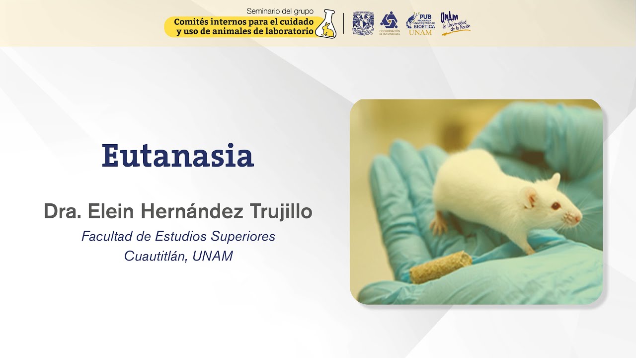 Seminario CICUALES, 