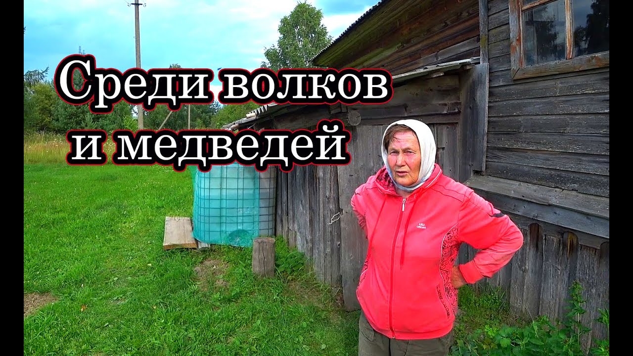 ЖИВЁТ ОДНА В ЗАБРОШЕННОЙ ДЕРЕВНЕ В ЛЕСУ. Страшно выходить из дома. Заброшенные деревни России.