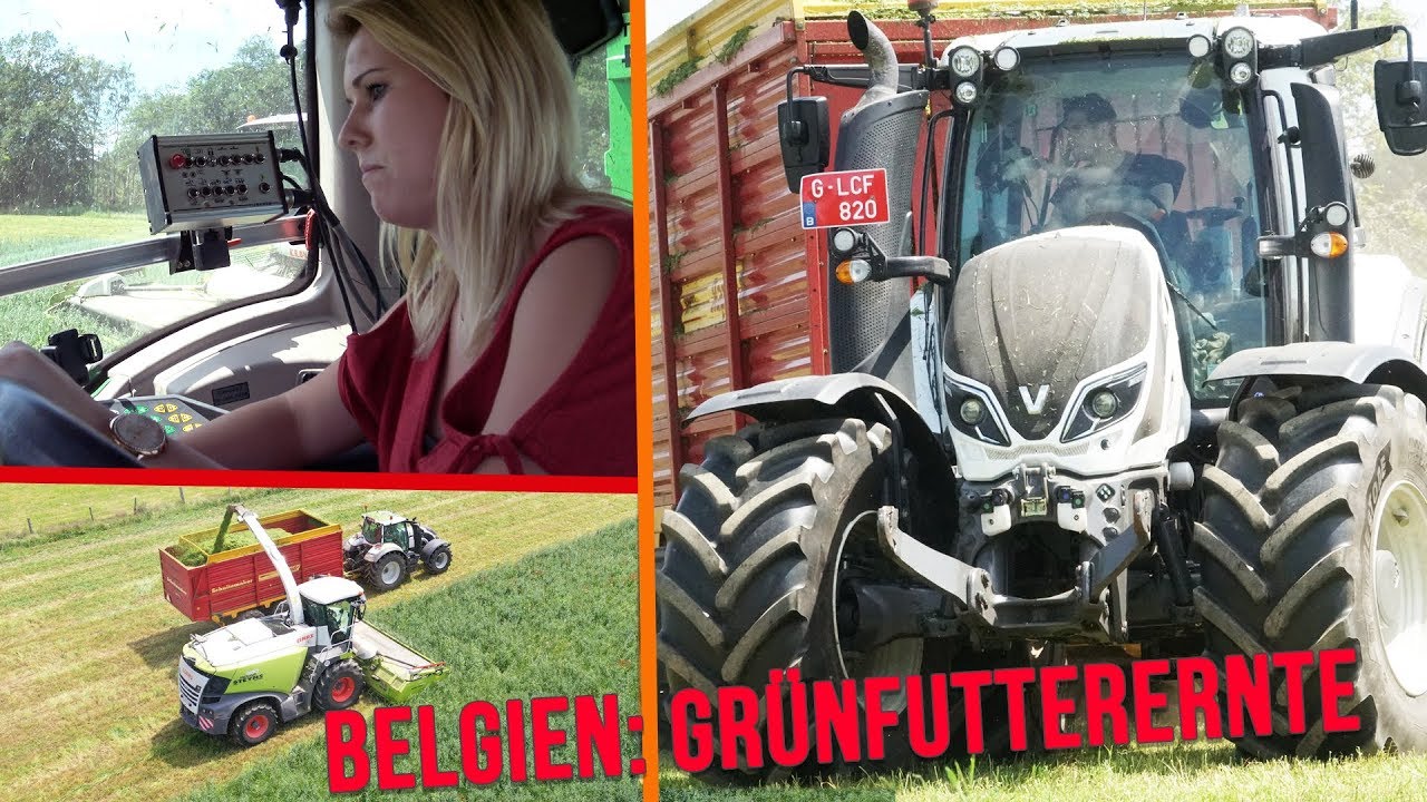 Unterwegs mit dem Lohnunternehmen Julien Goffin: Grünfutterernte Teil 5 [4K]