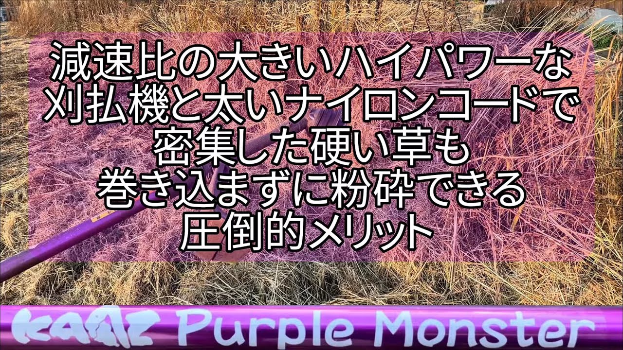 草刈りしよう 🇯🇵 耕作放棄地の草刈りは楽しい 57 パープルモンスターとぐるがり６１Ｋ