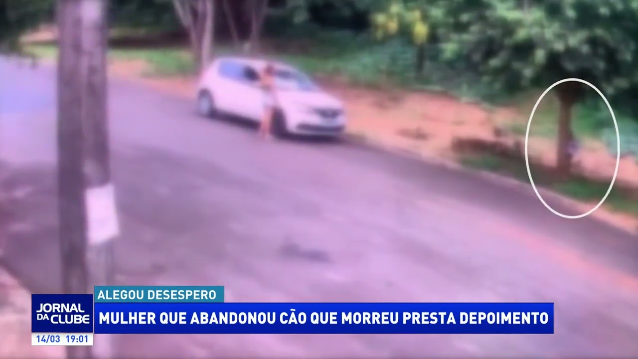 Mulher que abandonou cão que morreu presta depoimento - Jornal da Clube 2ª Edição (14/03/2026)