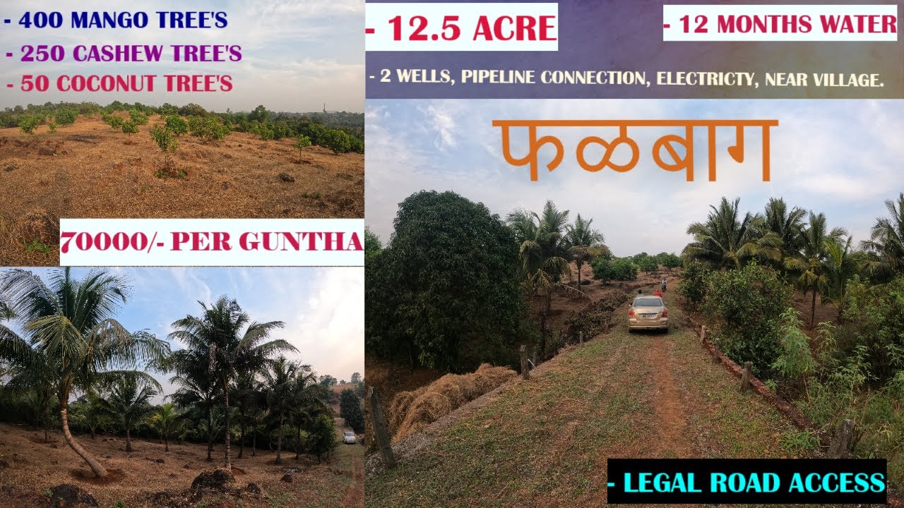 Konkan Properties | well developed Agriculture farm for sale | Mandangad | Ratnagiri
