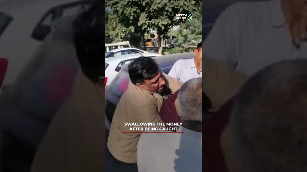 Video: Faridabad Cop Caught Taking Bribe Over Buffalo Theft Swallows Notes