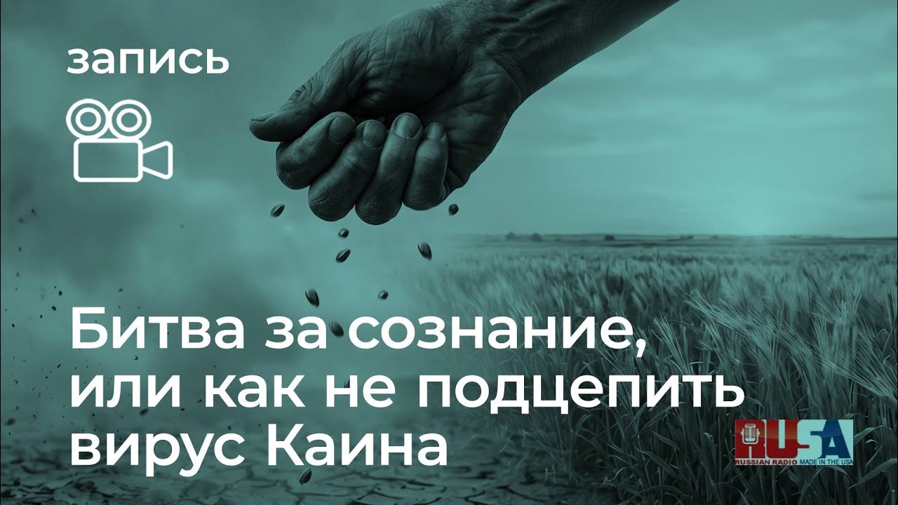 Александр Литвин: как не подцепить вирус Каина